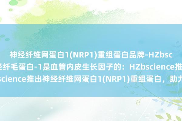 神经纤维网蛋白1(NRP1)重组蛋白品牌-HZbscience中国-美国、神经纤毛蛋白-1是血管内皮生长因子的：HZbscience推出神经纤维网蛋白1(NRP1)重组蛋白，助力神经科学研究